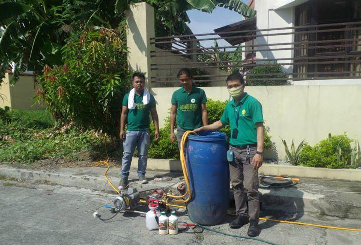 Golden Harvest Pest Control - Cleaning Services in Metro Manila - Carousell Philippines Blog