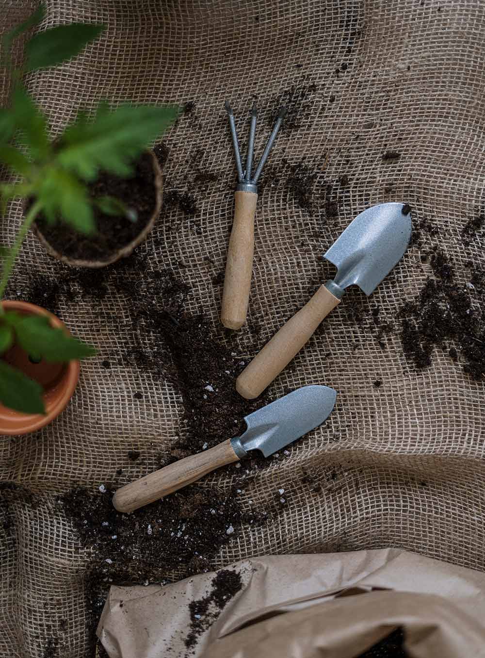 Invest on quality gardening tools - Carousell Philippines