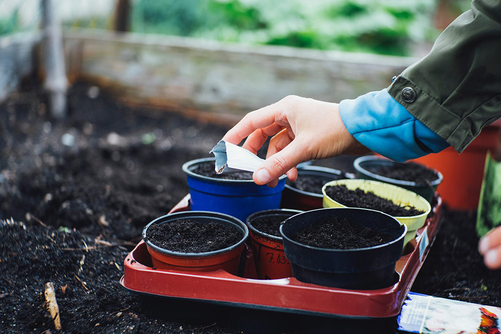 The soil you use for gardening is critical - Carousell Philippines