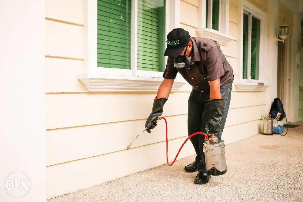 Zero Pest PH Pest Control - Cleaning Services in Metro Manila - Carousell Philippines Blog