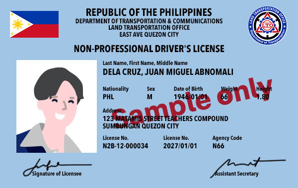 Non Professional Driver License